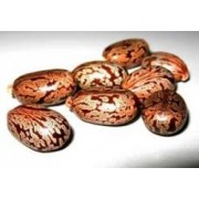 100% Pure castor oil 100% Pure castor oil