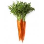 100% Pure carrot tissue oil 100% Pure carrot tissue oil